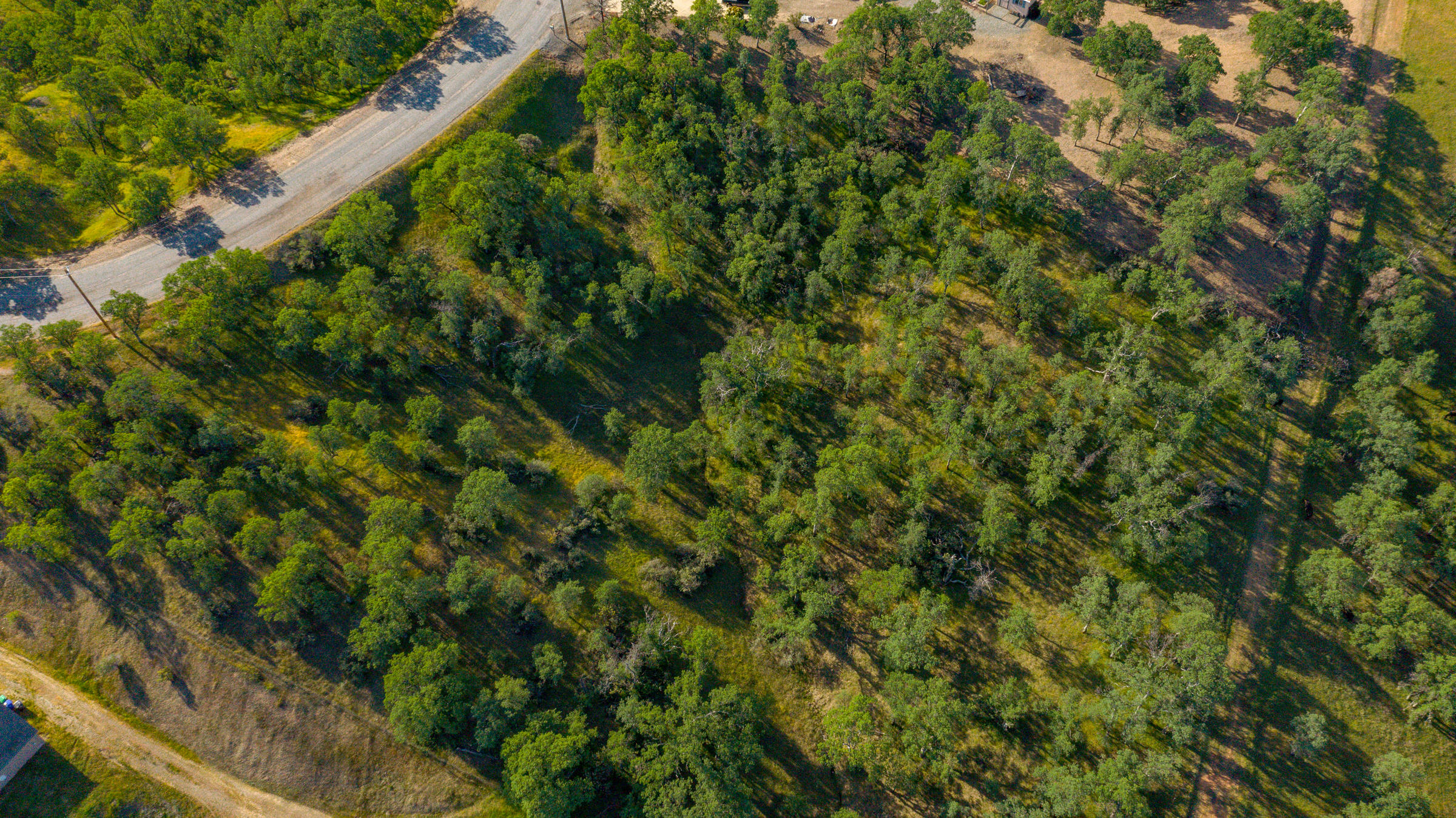 18623 Saddleback Ridge Loop Cottonwood, CA 96022 - Photo 27 of 28 a view of a lush green forest with large trees