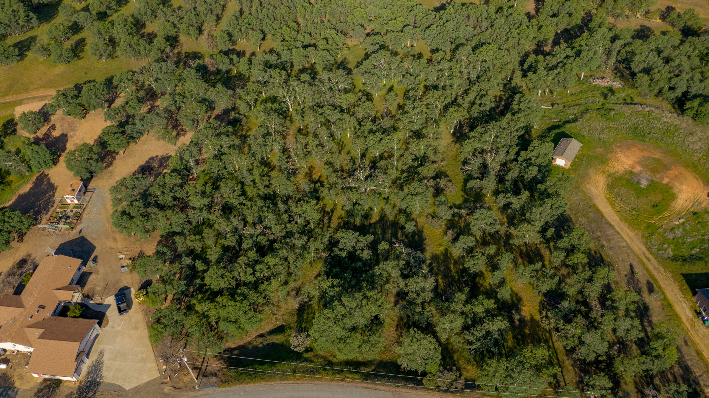 18623 Saddleback Ridge Loop Cottonwood, CA 96022 - Photo 3 of 28 a view of a forest