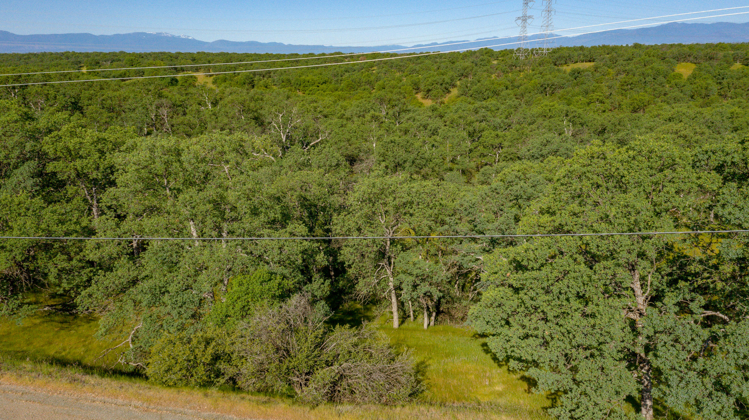 18623 Saddleback Ridge Loop Cottonwood, CA 96022 - Photo 6 of 28 a view of a field