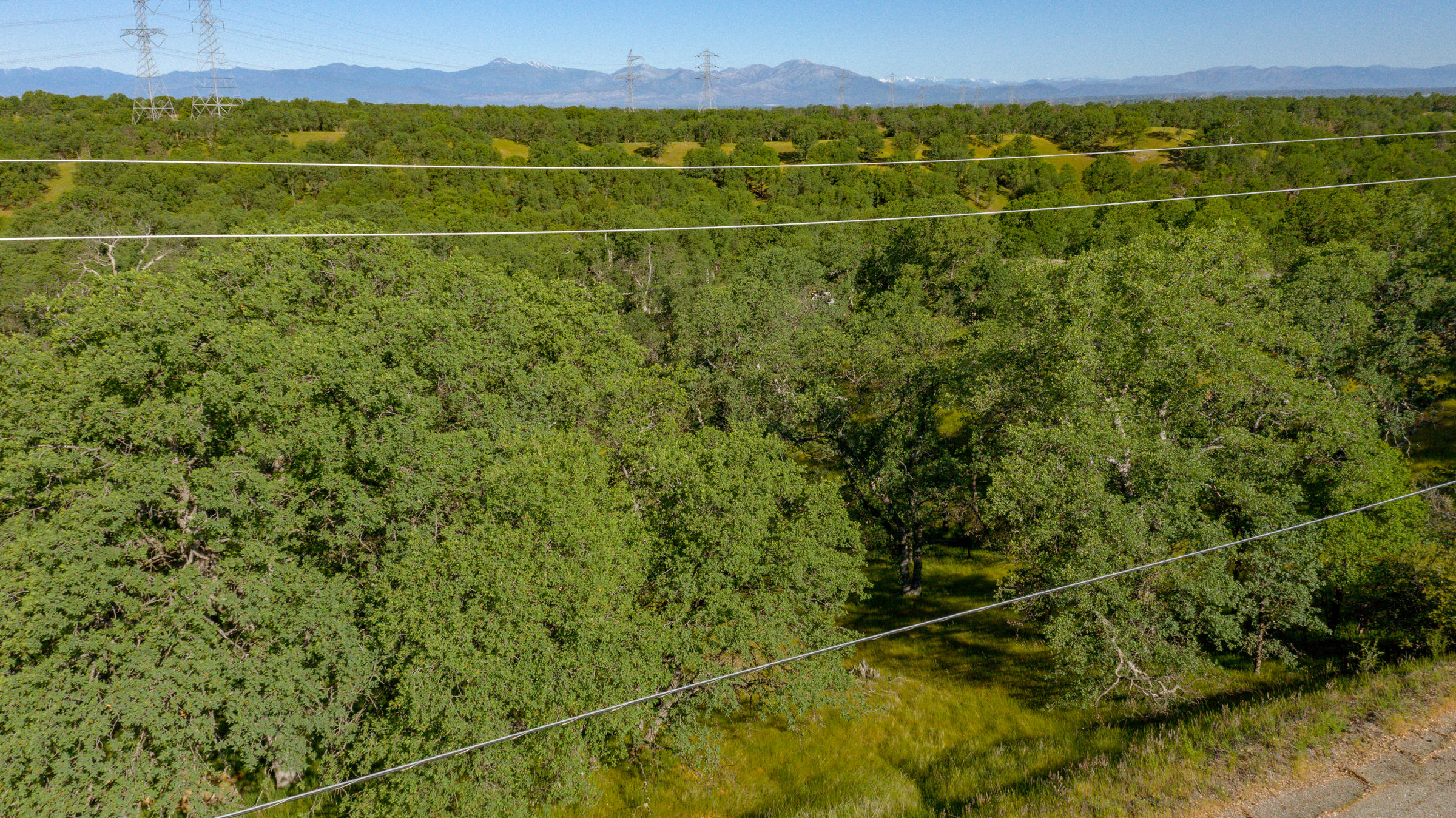 18623 Saddleback Ridge Loop Cottonwood, CA 96022 - Photo 7 of 28 a view of a room