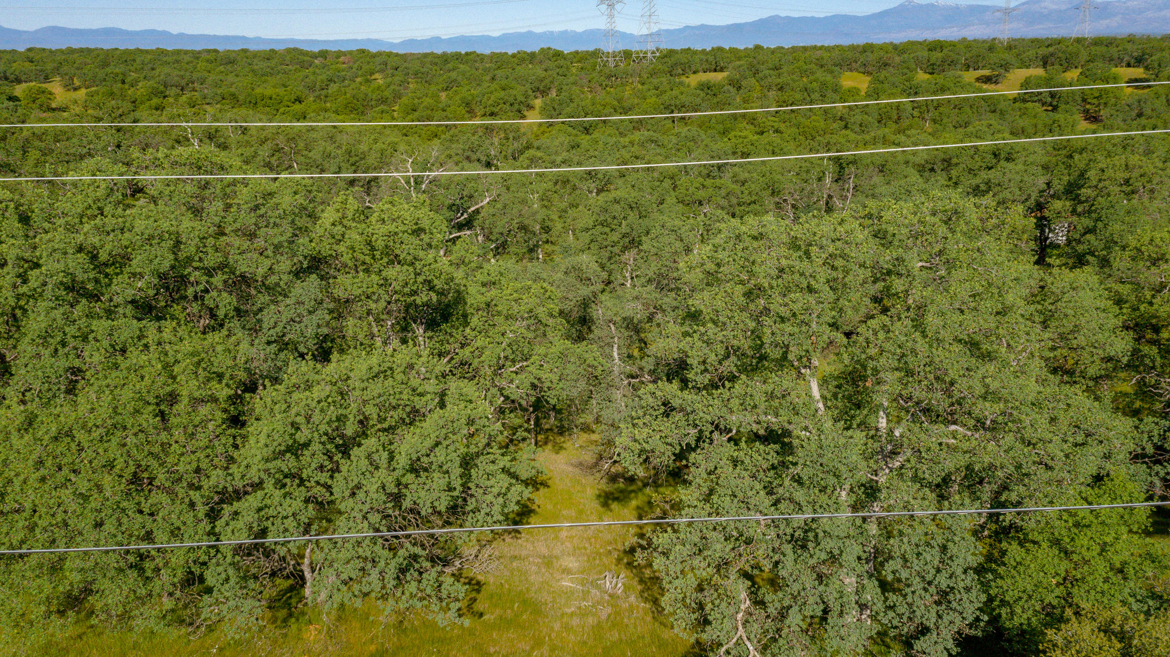 18623 Saddleback Ridge Loop Cottonwood, CA 96022 - Photo 8 of 28 a view of a tennis court