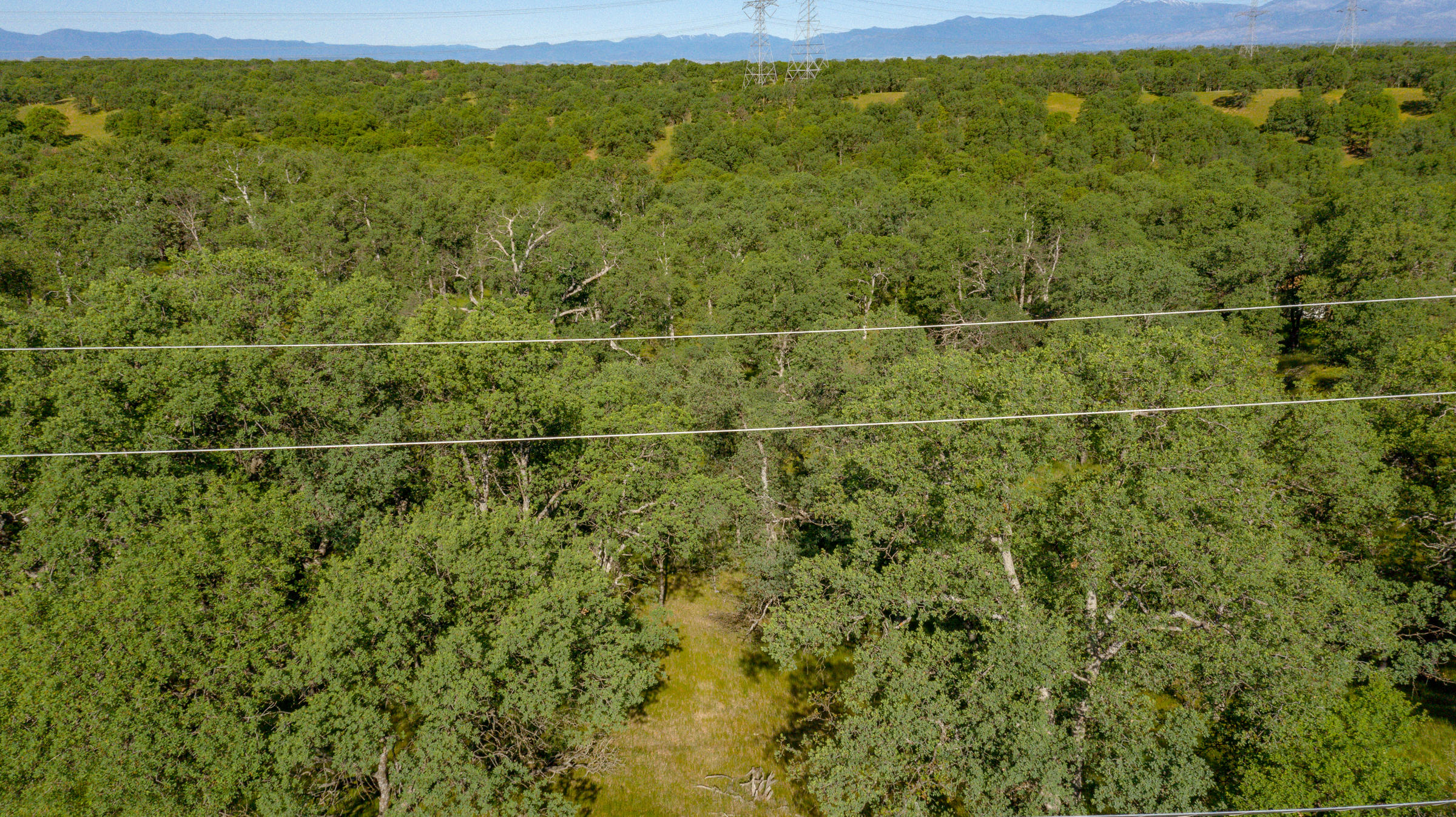 18623 Saddleback Ridge Loop Cottonwood, CA 96022 - Photo 9 of 28 a view of a yard