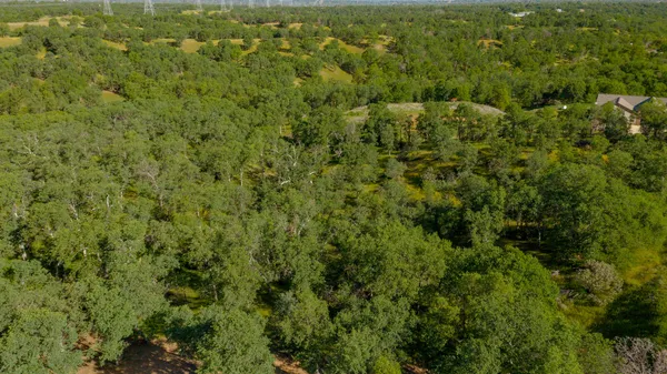 a view of a city with lush green forest