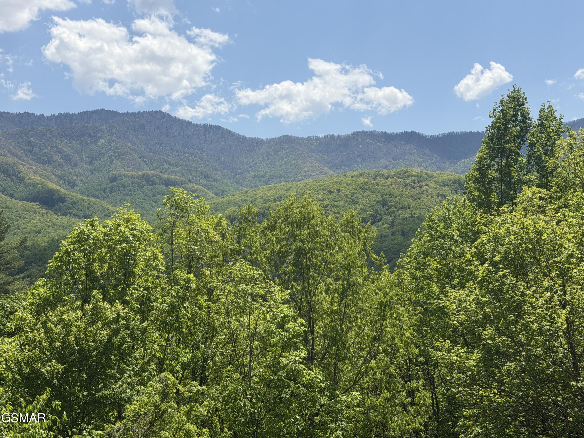 439 Ridgeline Way Gatlinburg, TN 37738 - Photo 4 of 42 Gallery Image 4