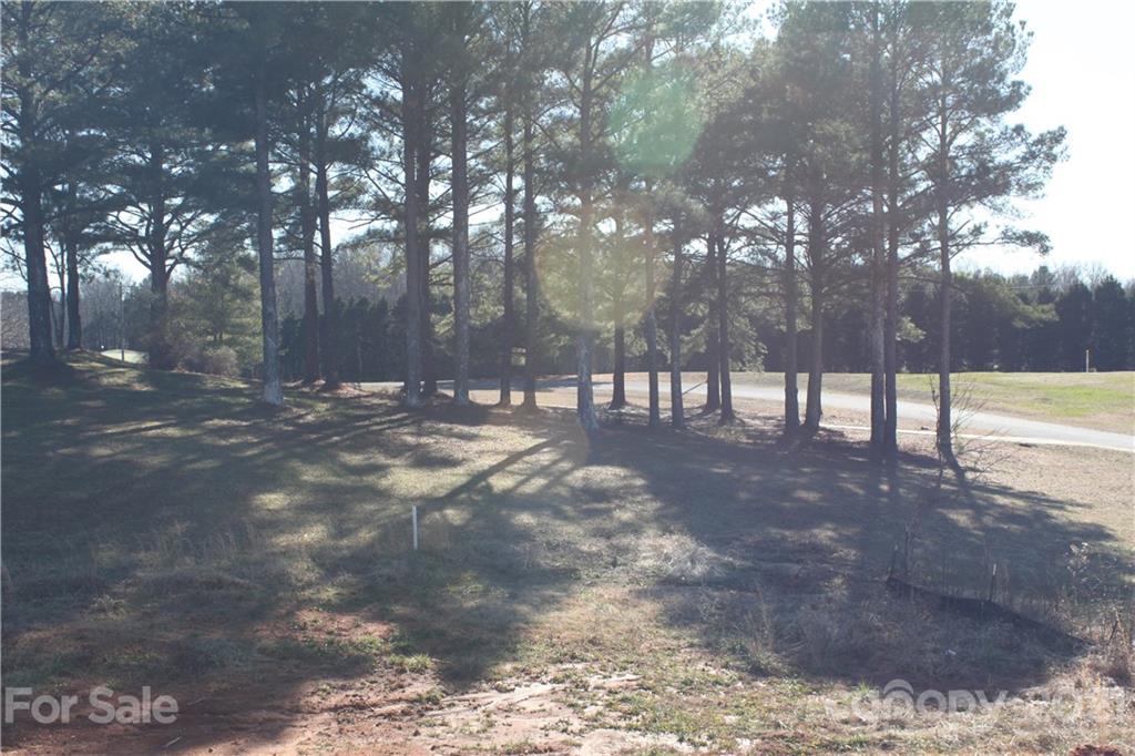 1367 Springlake Road York, SC 29745 - Photo 6 of 7 Gallery Image 6