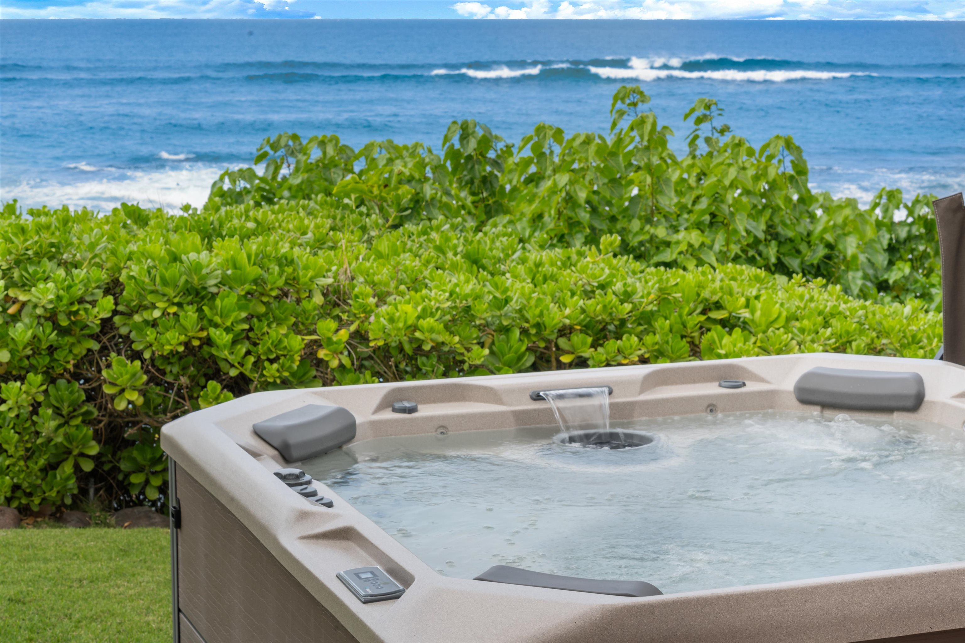 111 Aleiki Place Paia, HI 96779 - Photo 2 of 50 a view of a garden with plants