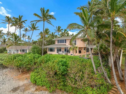 a view of a multi story yard with plants and palm trees