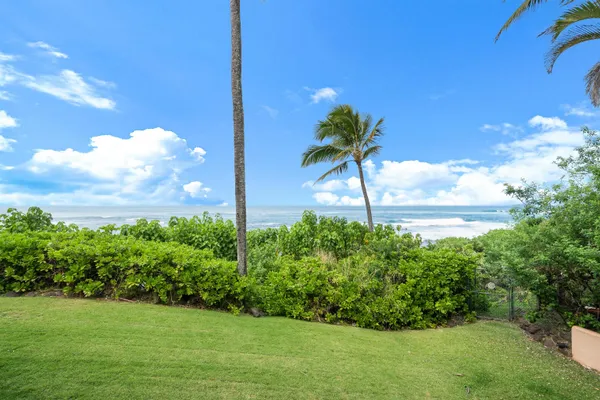 a view of a yard in front of the house