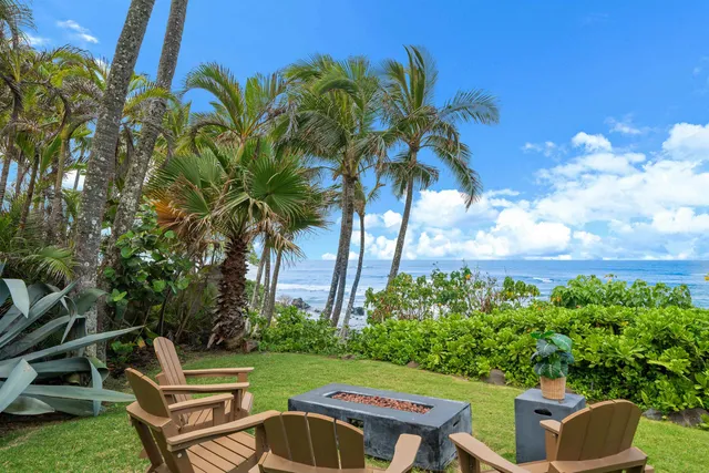 a view of a backyard with couches plants and large trees
