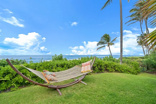 a view of a backyard with plants and a patio