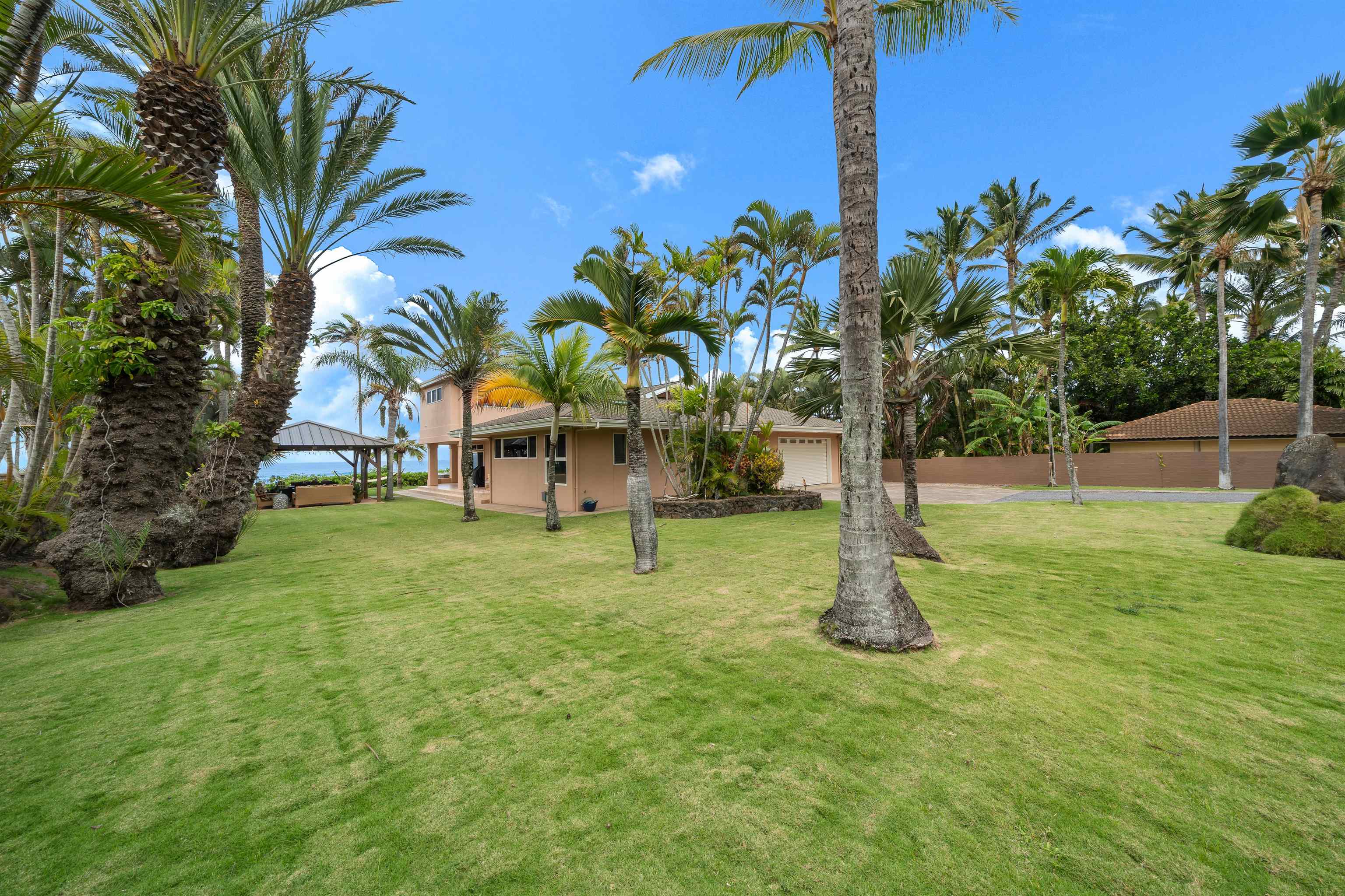 111 Aleiki Place Paia, HI 96779 - Photo 47 of 50 a view of a park with palm trees