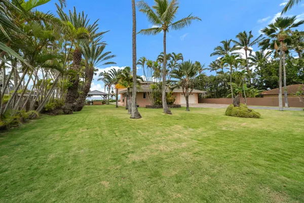 a view of a house with a backyard and a tree
