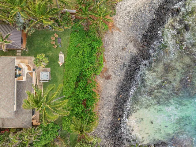 a view of a yard with plants