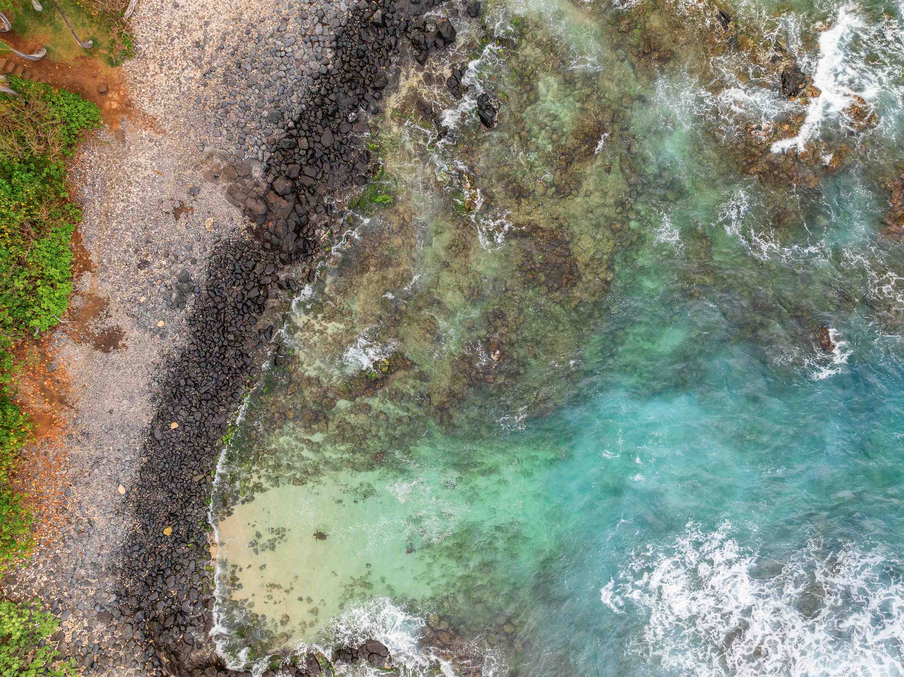 111 Aleiki Place Paia, HI 96779 - Photo 8 of 50 a view of a yard with large trees