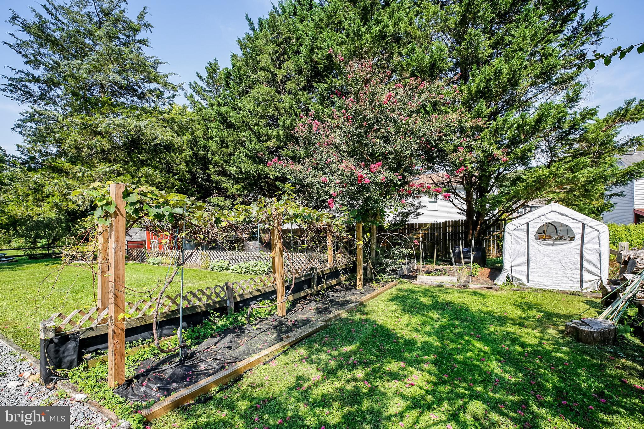 609 Olney Sandy Spring Road Sandy Spring, MD 20860 - Photo 52 of 75