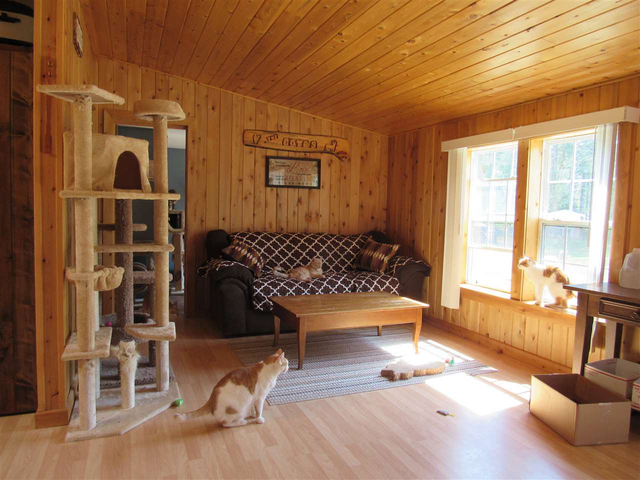 4698 Loop Road Troy, VT 05874 - Photo 17 of 26