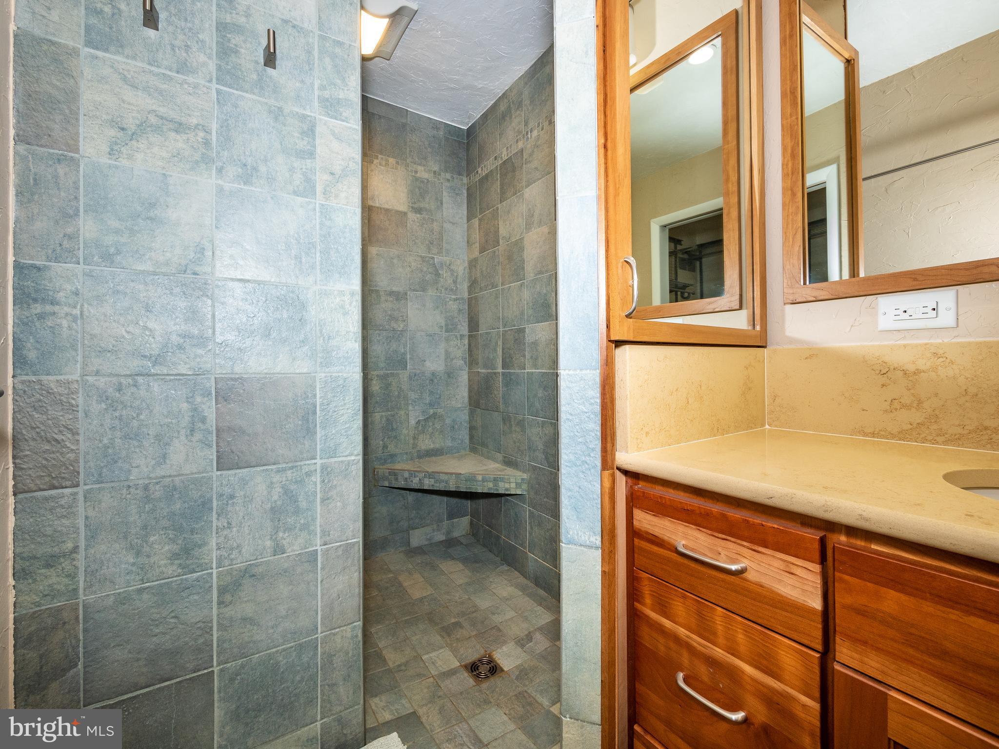10124 Spring Pools Lane Columbia, MD 21044 - Photo 23 of 30 Completely renovated walk in shower