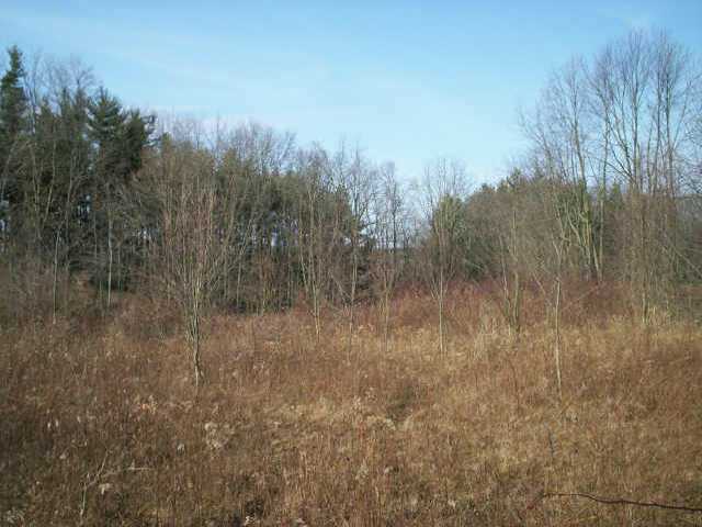 0 Kinney Road Mount Vernon, OH 43050 - Photo 1 of 5 Gallery Image 1