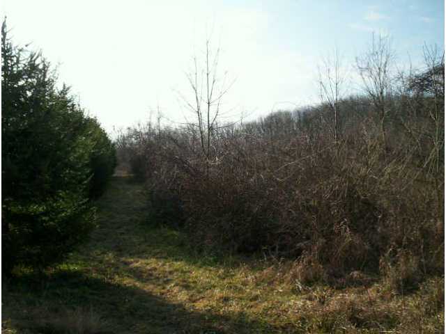 0 Kinney Road Mount Vernon, OH 43050 - Photo 2 of 5 Gallery Image 2