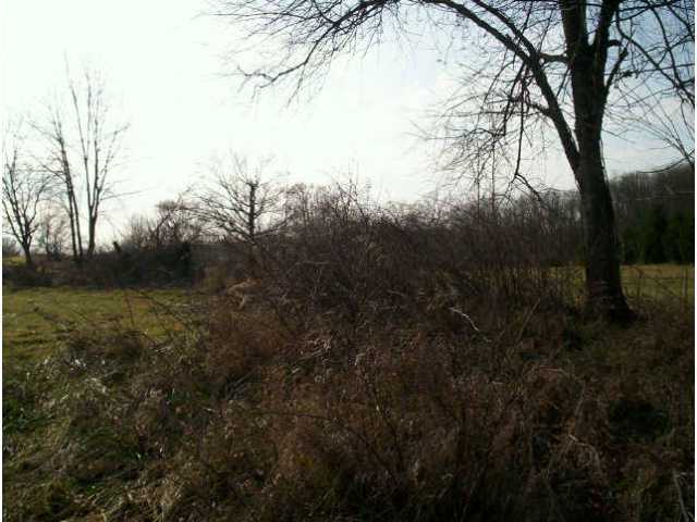 0 Kinney Road Mount Vernon, OH 43050 - Photo 4 of 5 Gallery Image 4