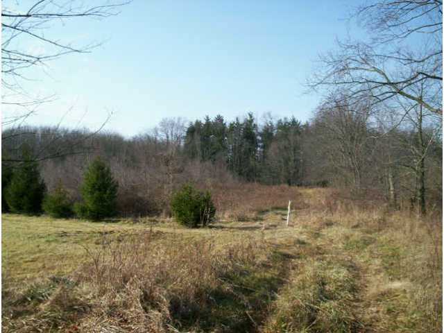 0 Kinney Road Mount Vernon, OH 43050 - Photo 5 of 5 Gallery Image 5
