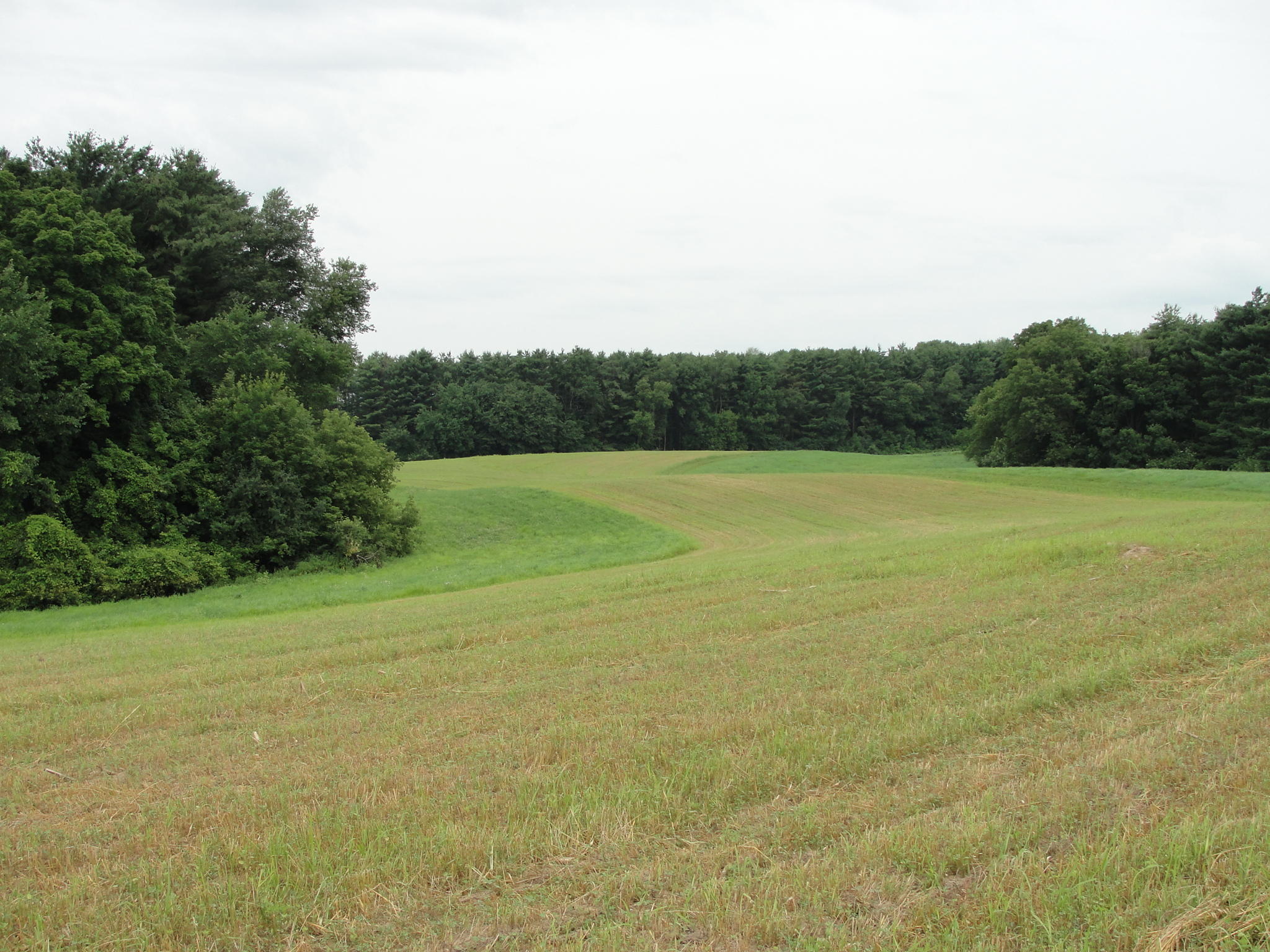0 Espe Road Readstown, WI 54652 - Photo 1 of 1 DSC01355