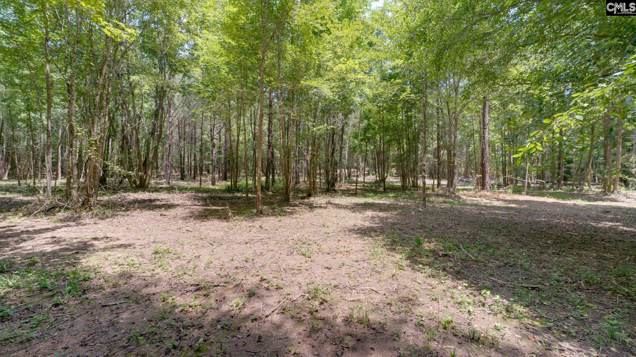 618 Meadowlark Road Little Mountain, SC 29075 - Photo 5 of 7