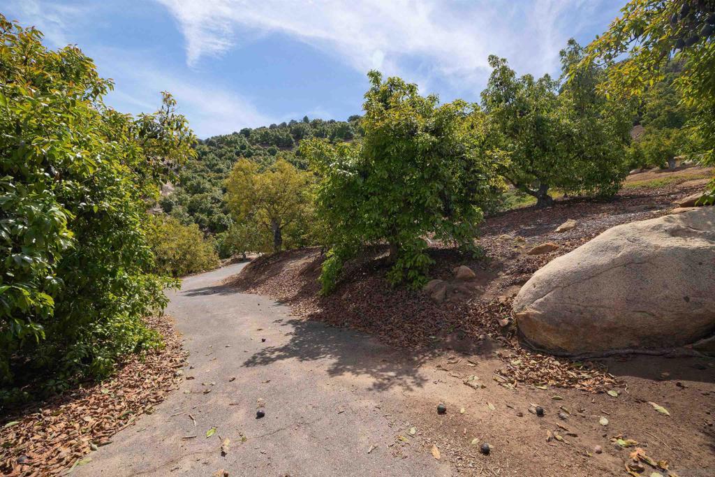 30591 Luis Rey Heights Road Bonsall, CA 92003 - Photo 2 of 10 a view of a dry yard with trees and plants in the background