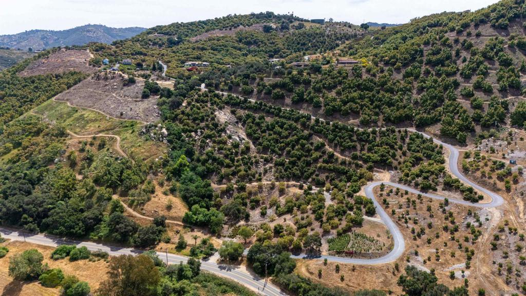30591 Luis Rey Heights Road Bonsall, CA 92003 - Photo 4 of 10 a view of a city with lush green forest