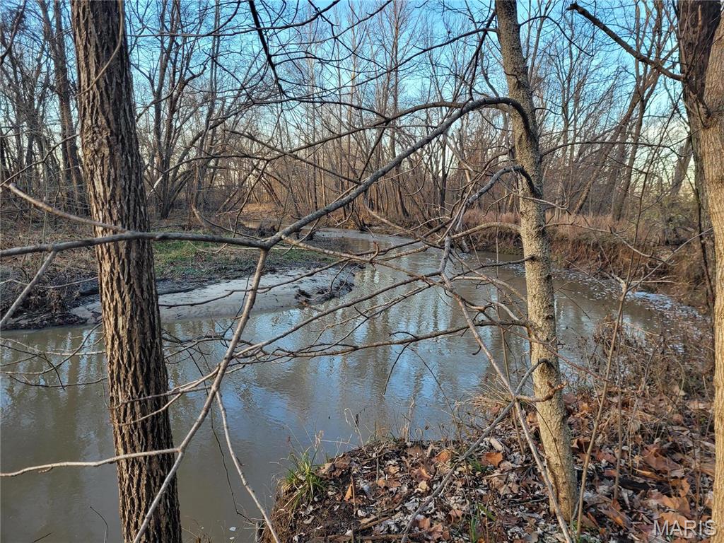 0 Bales Road Middletown, MO 63359 - Photo 12 of 43