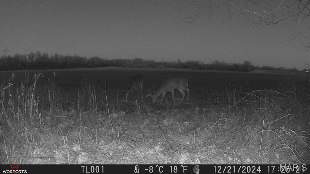 0 Bales Road Middletown, MO 63359 - Photo 18 of 43