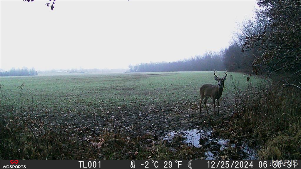 0 Bales Road Middletown, MO 63359 - Photo 20 of 43