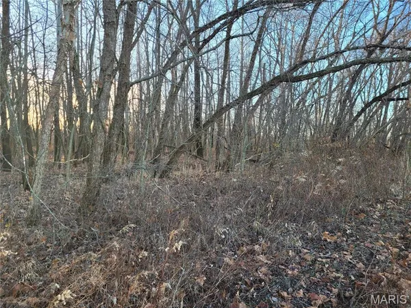 $497,700 | 0 Bales Road, Middletown, MO 63359