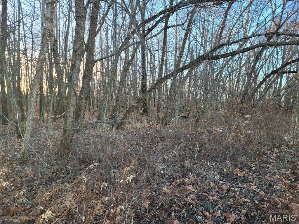 0 Bales Road Middletown, MO 63359 - Photo 26 of 43