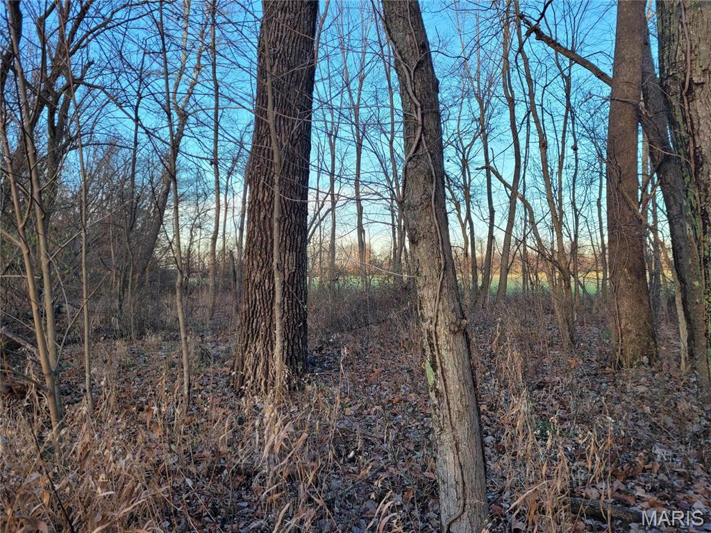 0 Bales Road Middletown, MO 63359 - Photo 27 of 43