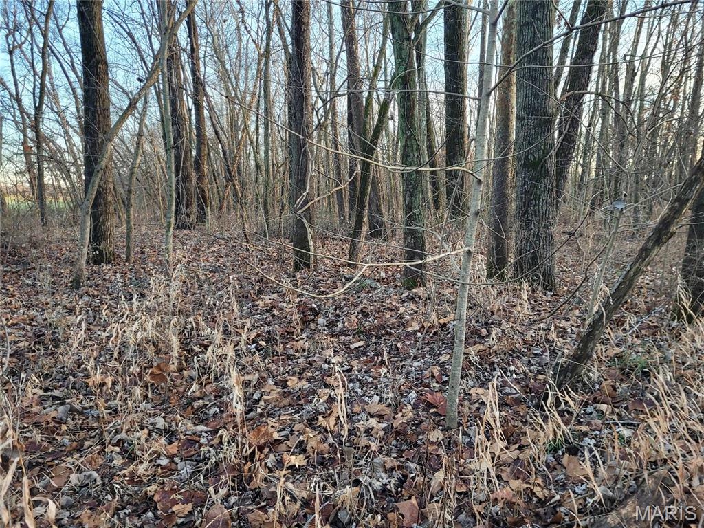 0 Bales Road Middletown, MO 63359 - Photo 28 of 43