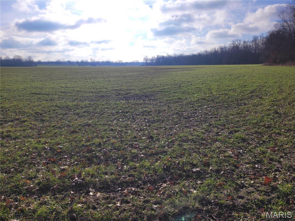 0 Bales Road Middletown, MO 63359 - Photo 32 of 43