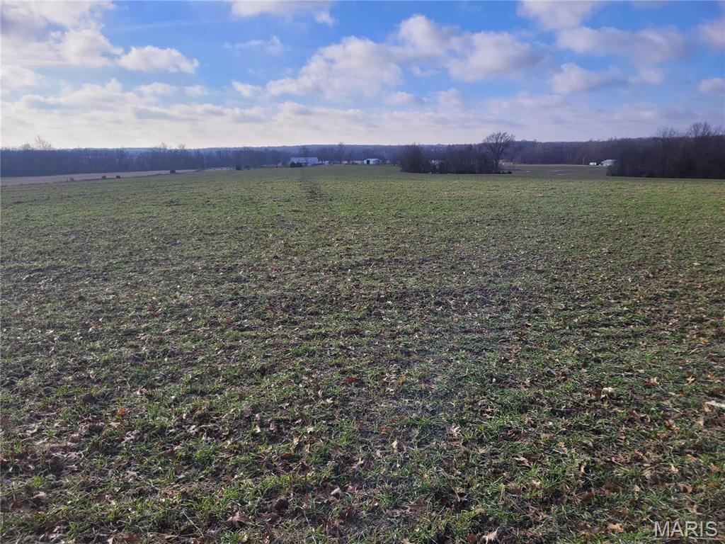 0 Bales Road Middletown, MO 63359 - Photo 33 of 43