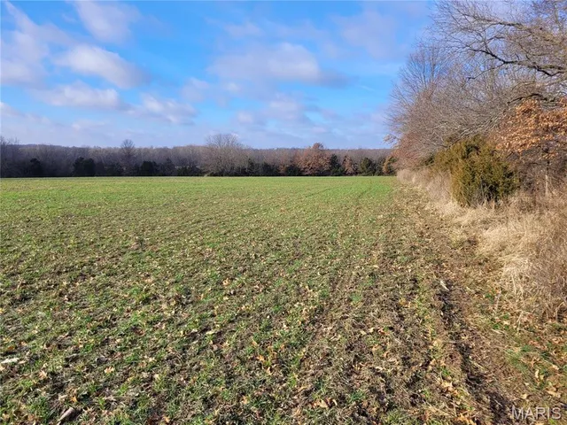 $497,700 | 0 Bales Road, Middletown, MO 63359