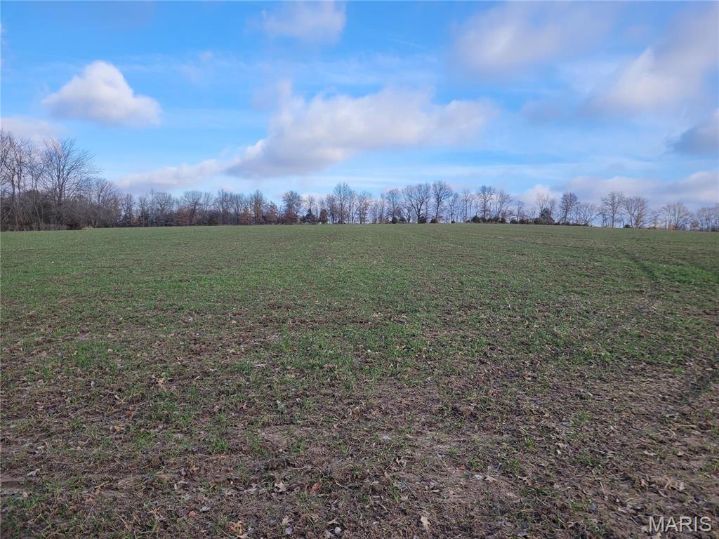 0 Bales Road Middletown, MO 63359 - Photo 36 of 43