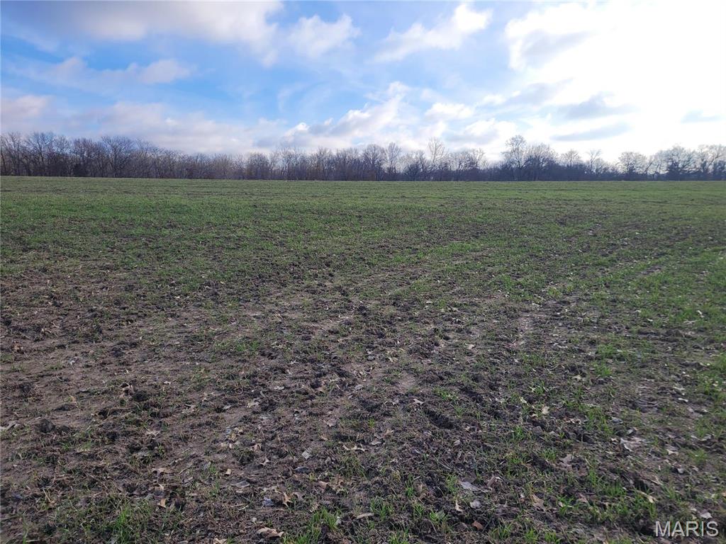 0 Bales Road Middletown, MO 63359 - Photo 37 of 43