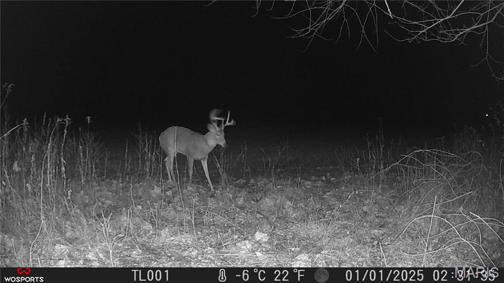 0 Bales Road Middletown, MO 63359 - Photo 5 of 43