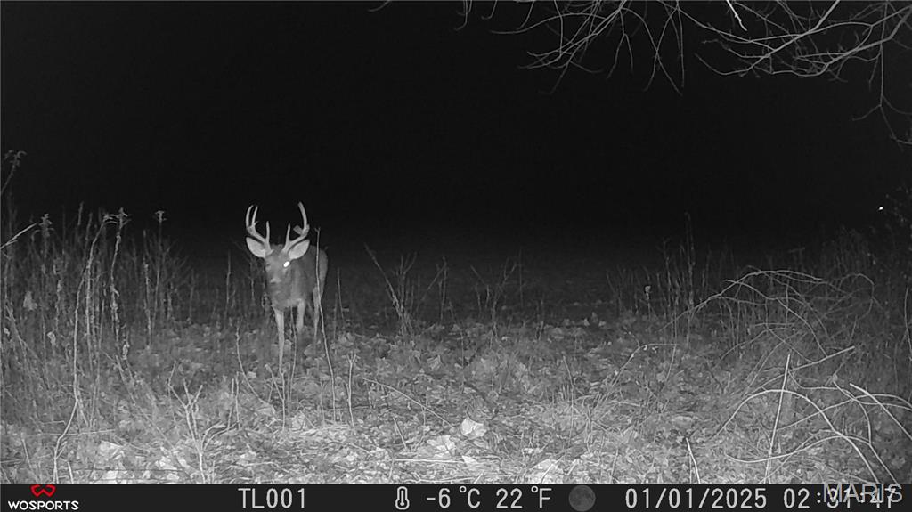 0 Bales Road Middletown, MO 63359 - Photo 6 of 43