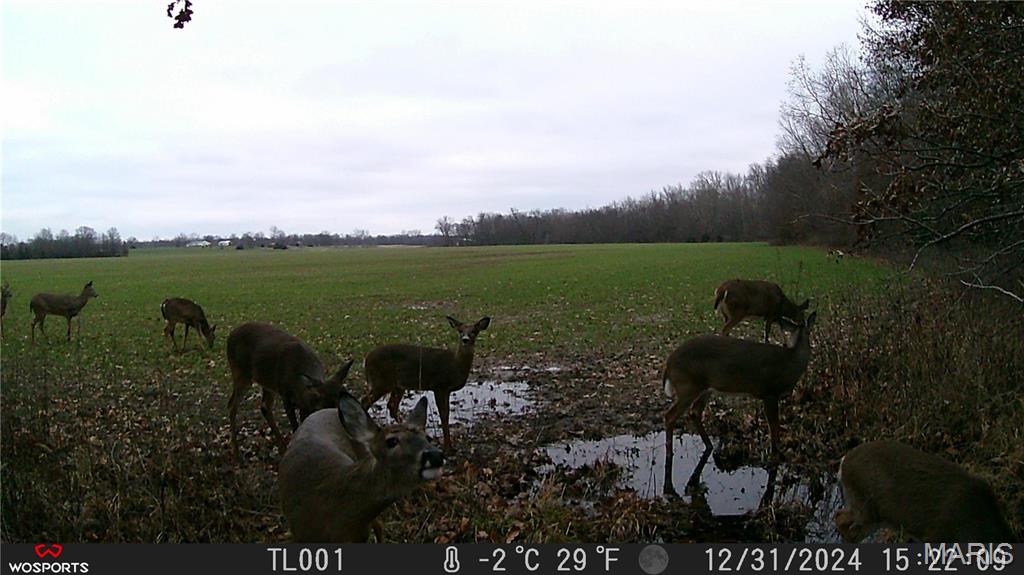 0 Bales Road Middletown, MO 63359 - Photo 8 of 43