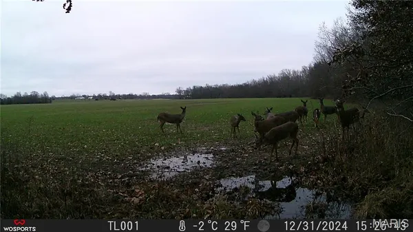 $497,700 | 0 Bales Road, Middletown, MO 63359