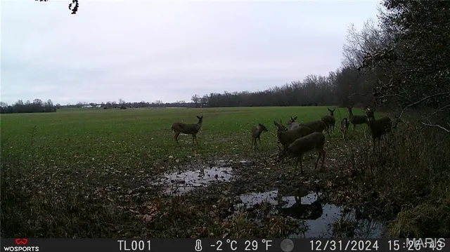 $497,700 | 0 Bales Road, Middletown, MO 63359