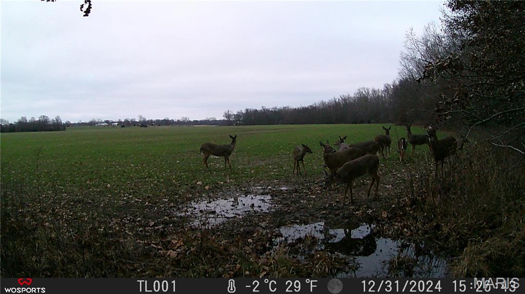 0 Bales Road Middletown, MO 63359 - Photo 9 of 43