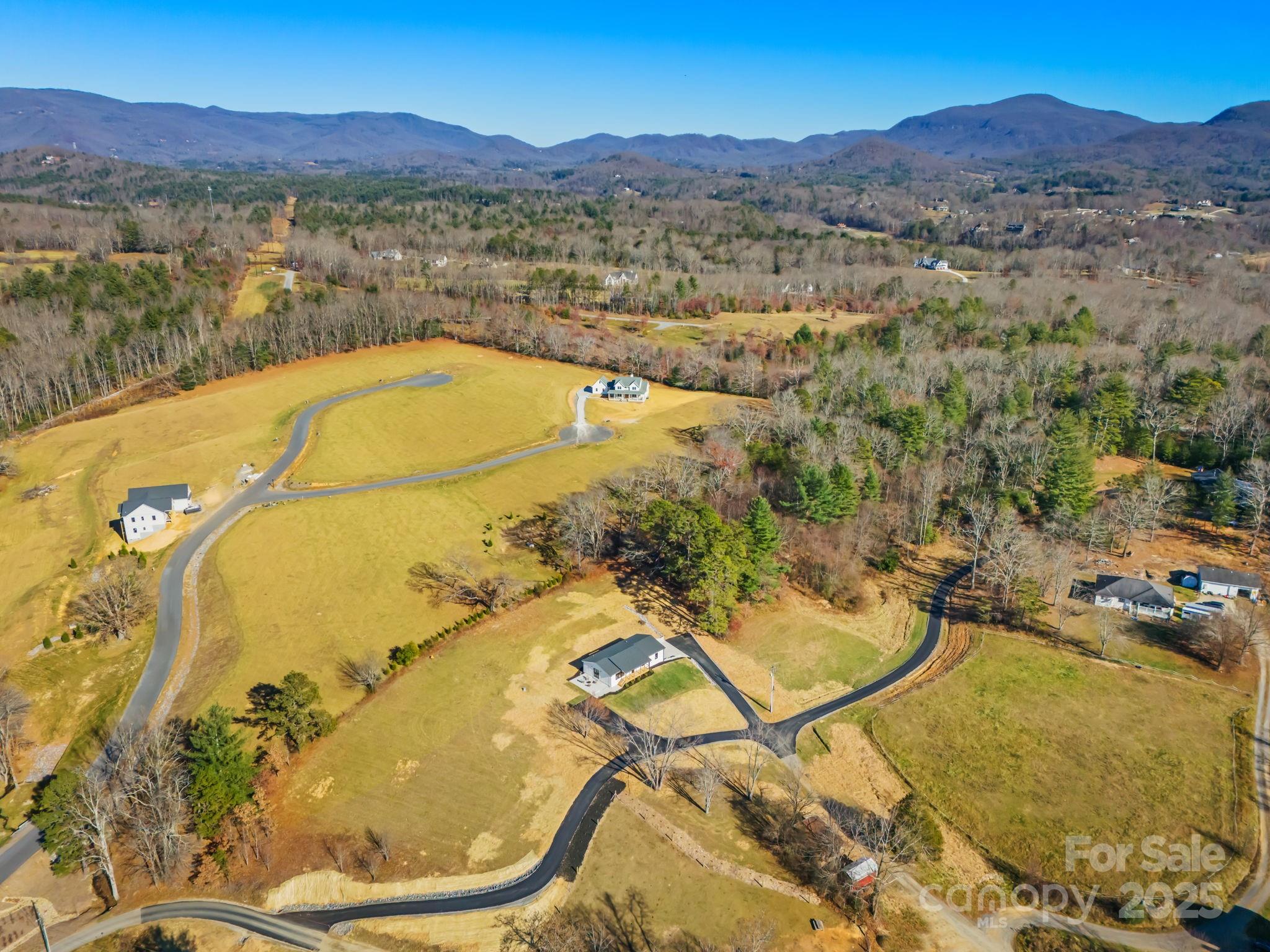 304 Terra Ridge Lane Fletcher, NC 28732 - Photo 4 of 11 a view of swimming pool and mountain view