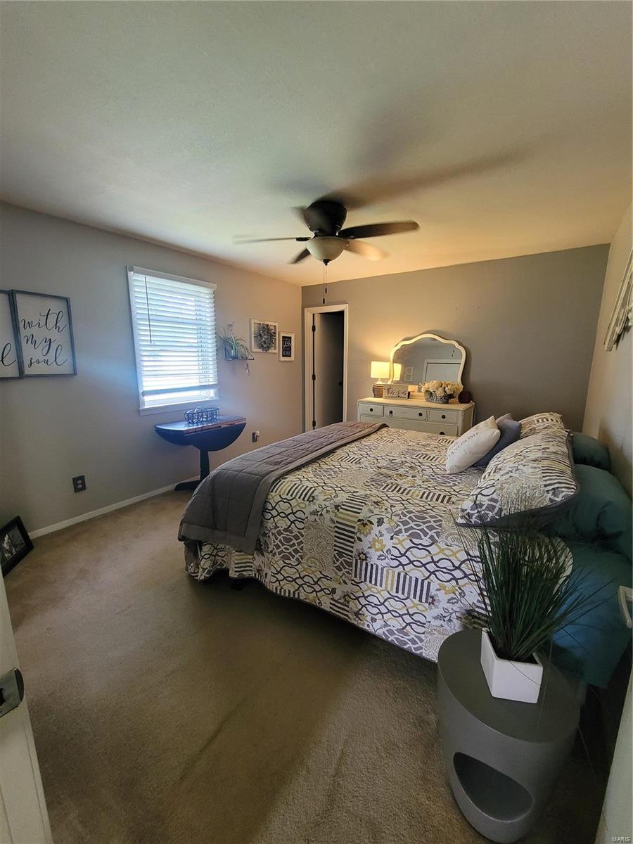 1005 North James Street Sparta, IL 62286 - Photo 29 of 34