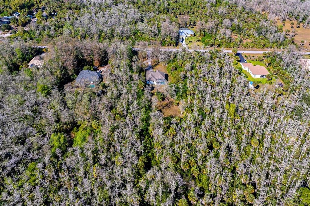 220 37th Avenue Northeast Naples, FL 34120 - Photo 46 of 49 a view of a yard